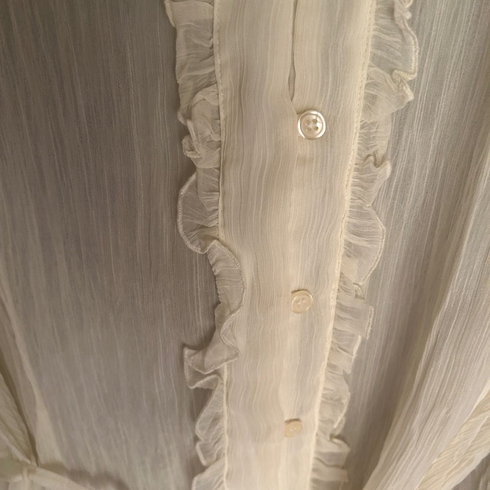 Beautiful sheer blouse, crepe material, X LG